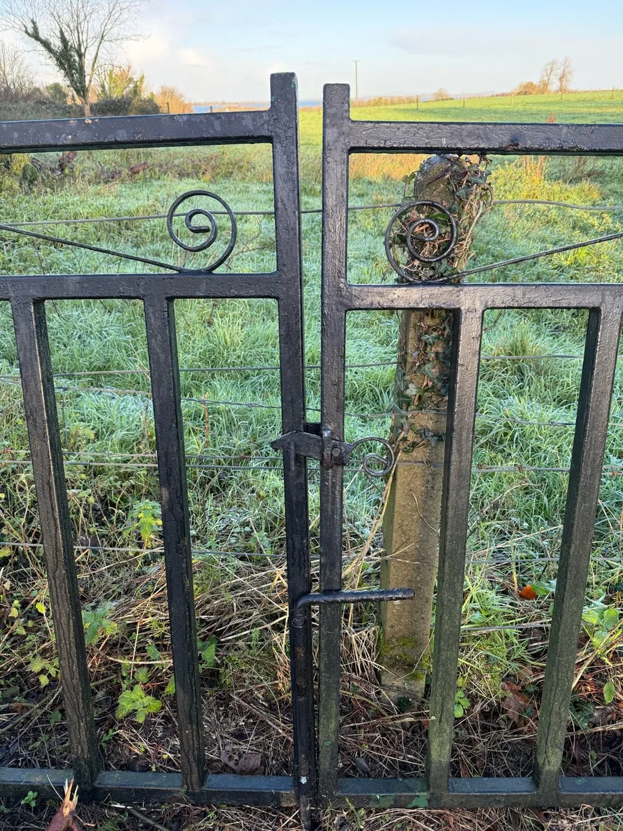 Entrance gates - Image 2