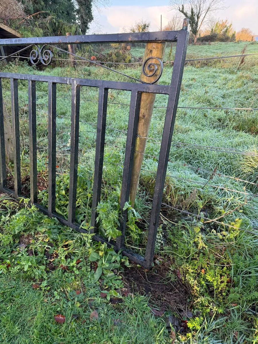 Entrance gates - Image 3