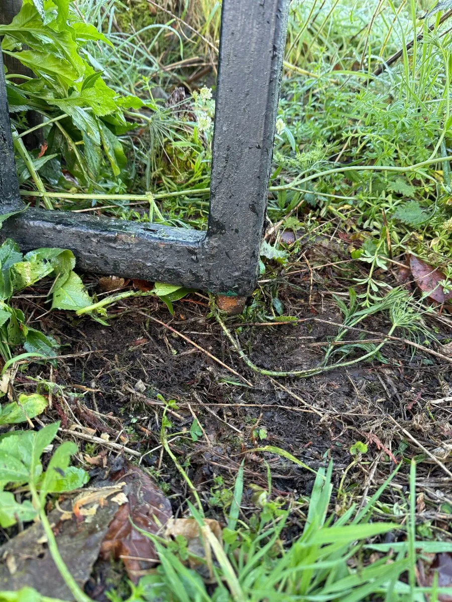 Entrance gates - Image 4