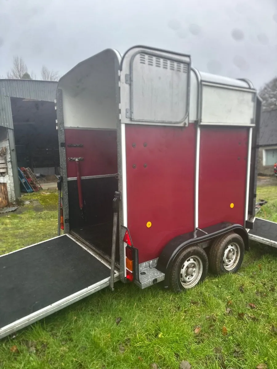 Ifor Williams 505 Horsebox - Image 3