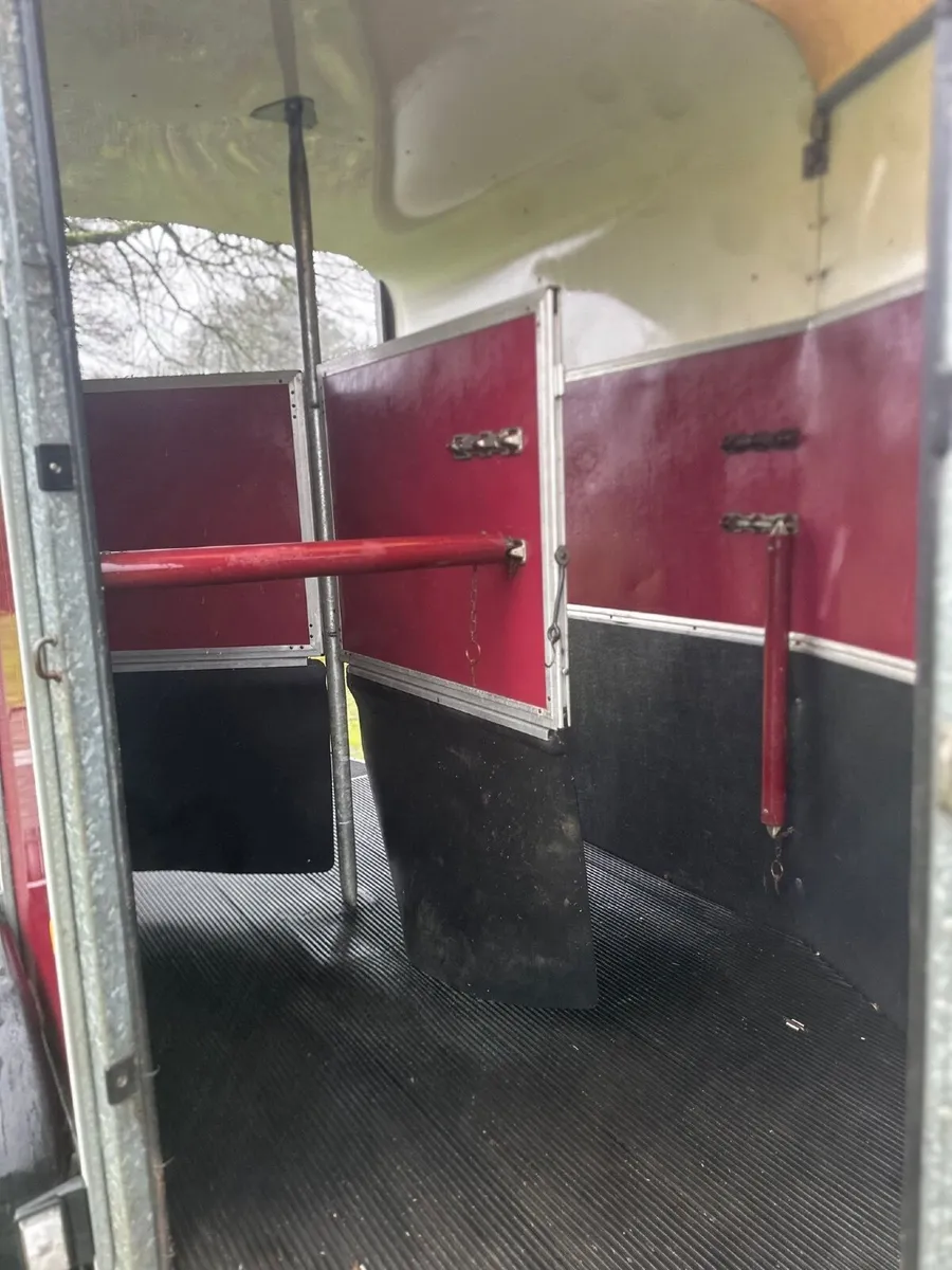 Ifor Williams 505 Horsebox - Image 4