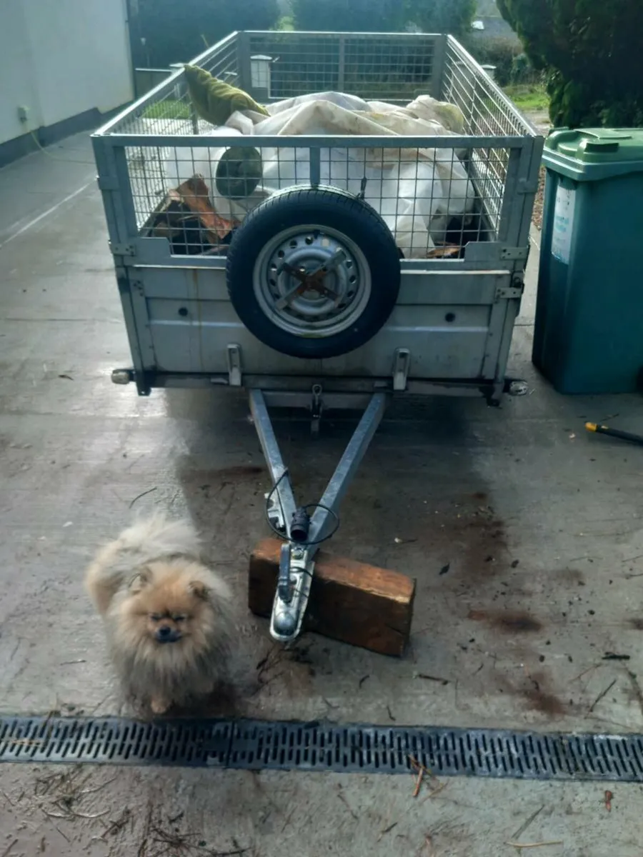 Car trailer - Image 1