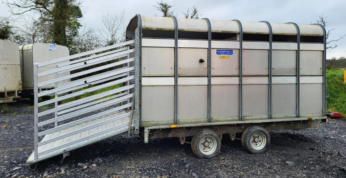 12ft Ifor Williams cattle trailer - Image 3