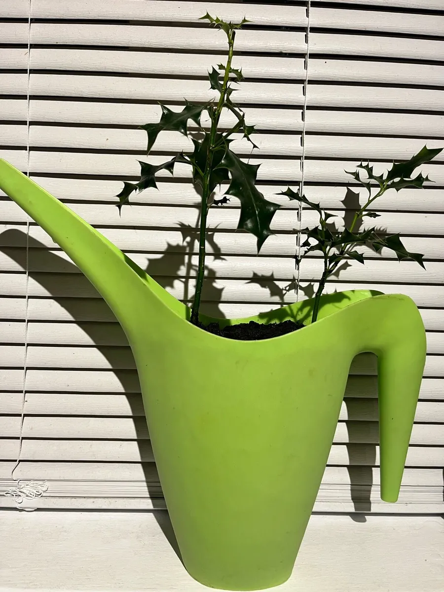 Two holy trees - Image 1