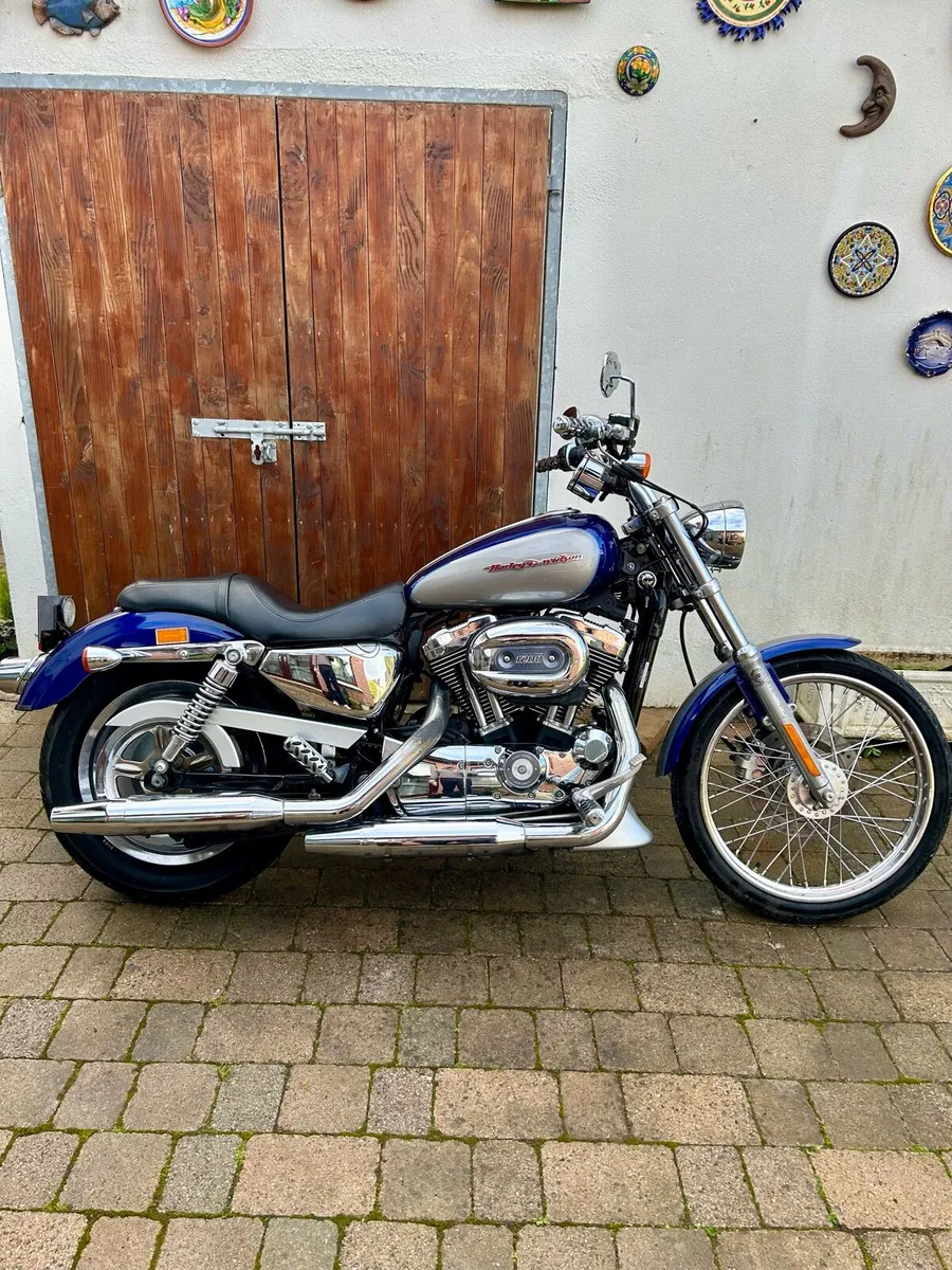 Harley Davidson Sportster 1200 Custom - Image 1