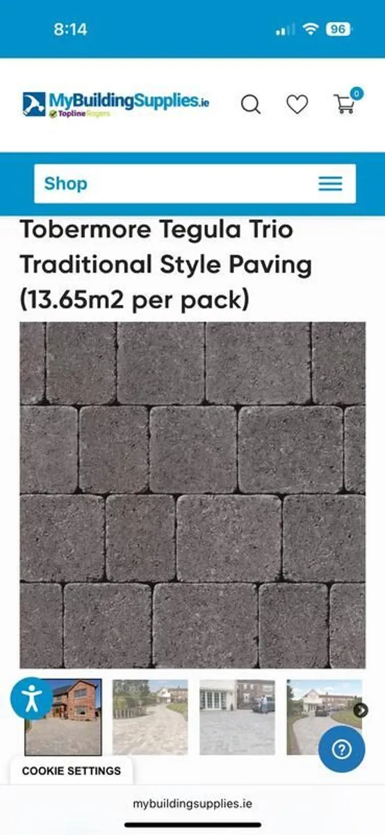 Paving bricks - Image 3