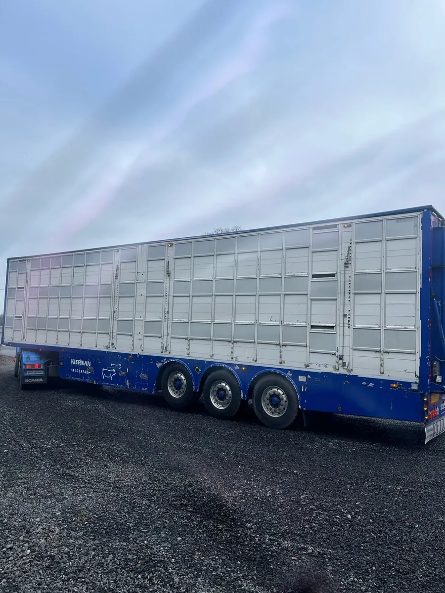 Pezzaioli pig trailer - Image 2