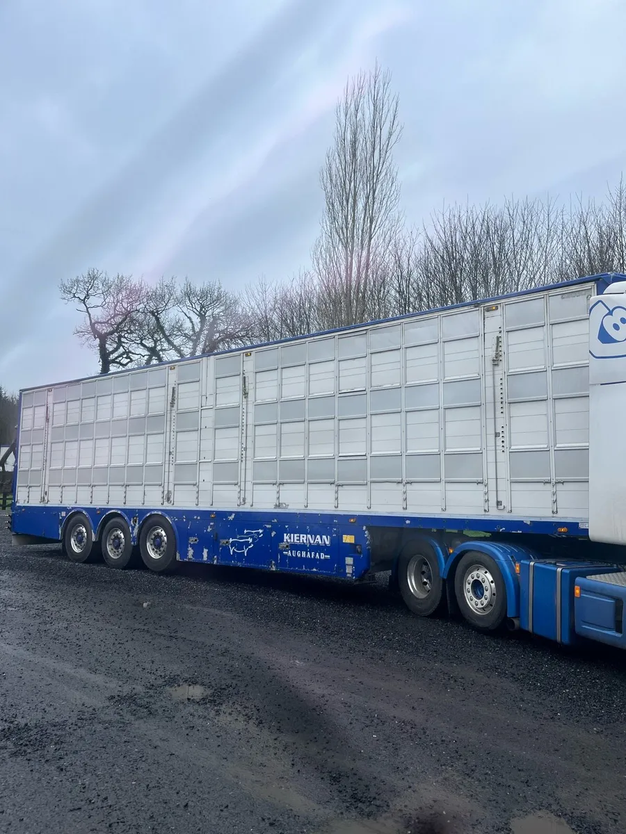 Pezzaioli pig trailer - Image 1