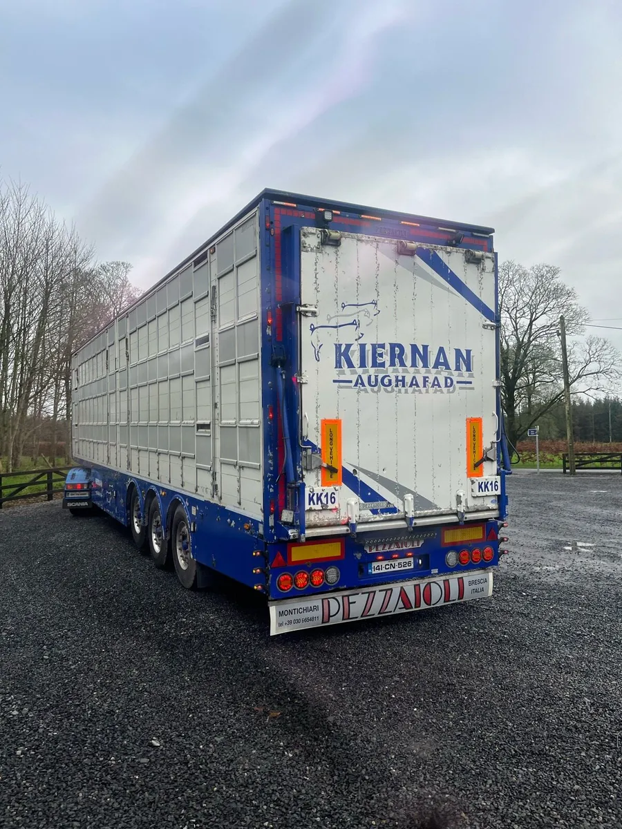 Pezzaioli pig trailer - Image 4