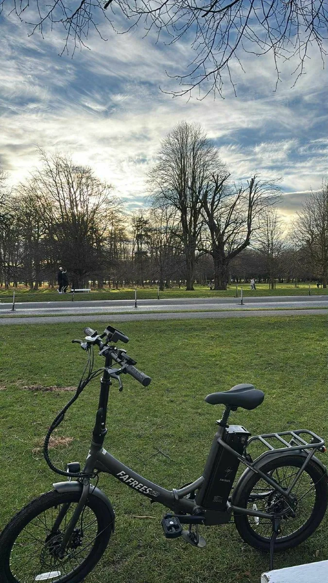 Fafrees Lasting Electric Bike - Image 1