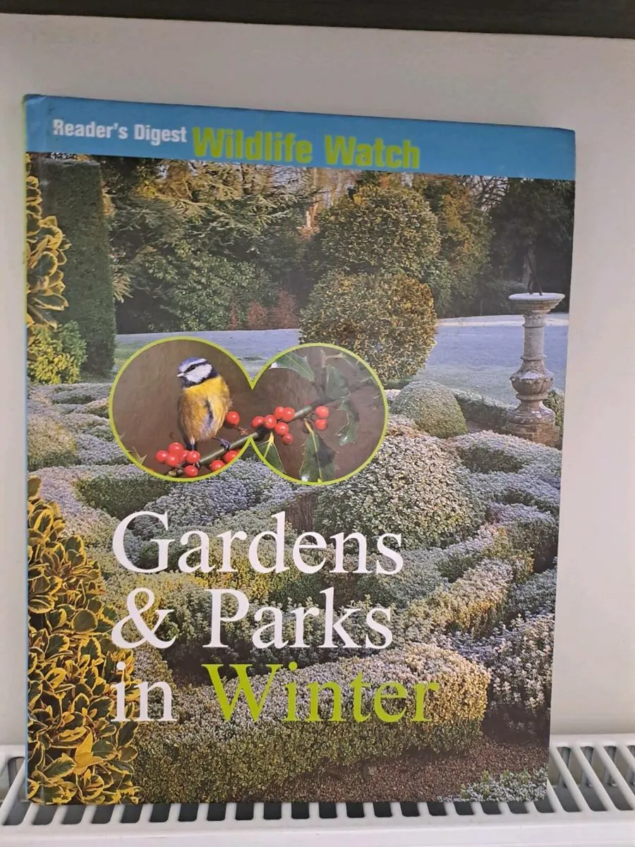 Gardens & Parks in Winter - Image 1