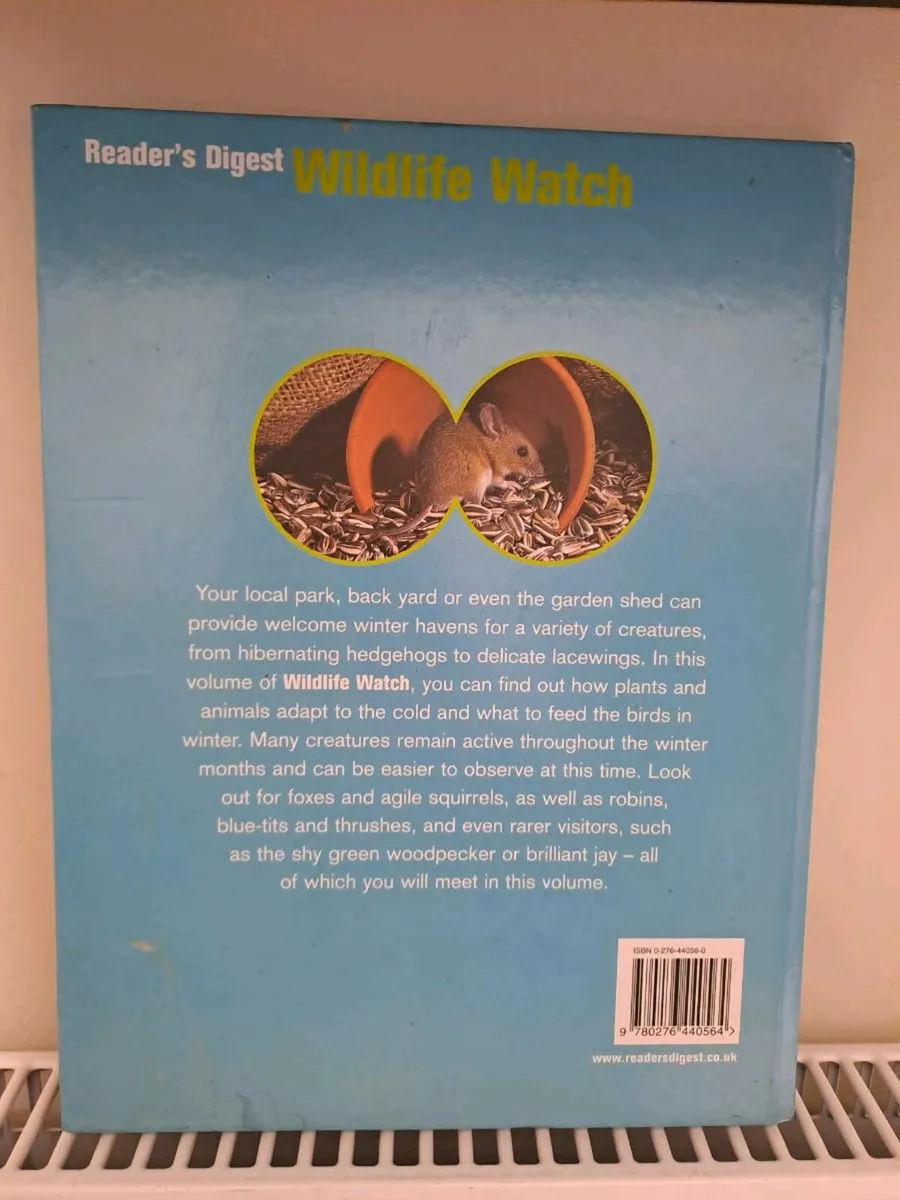 Gardens & Parks in Winter - Image 2