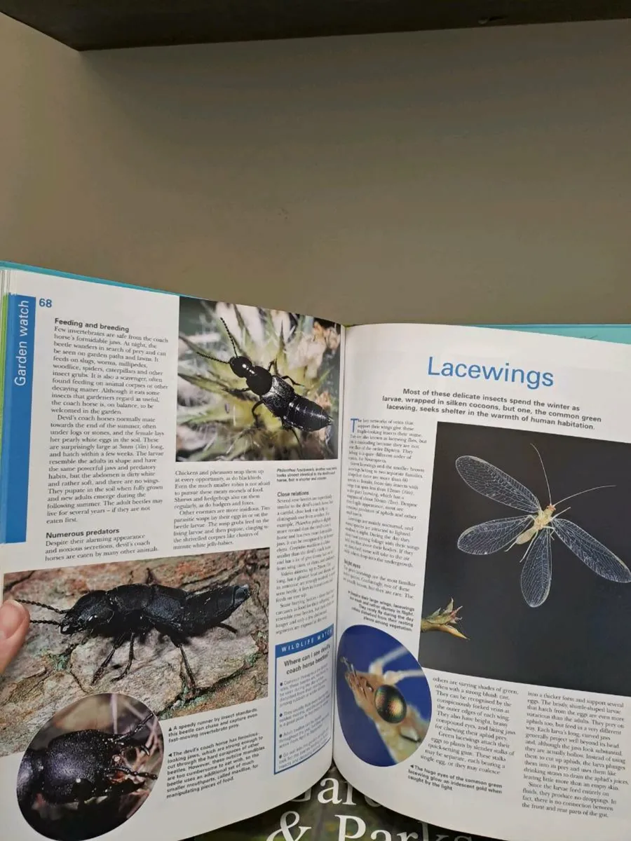 Gardens & Parks in Winter - Image 3