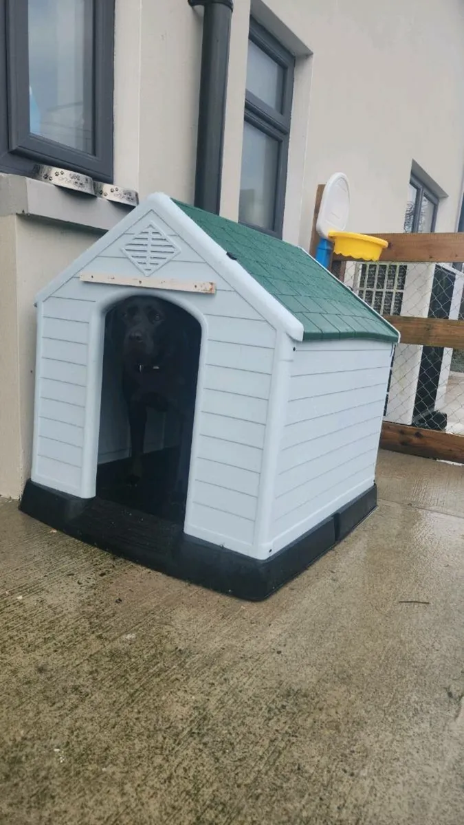 LARGE DOG HOUSE - Image 1