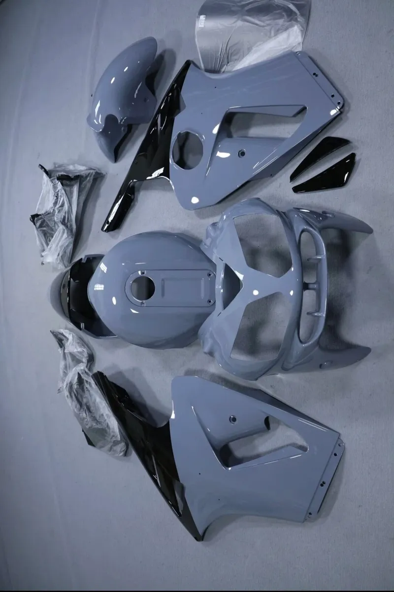 2002 Kawasaki ZX12R Aftermarket Fairings - Image 2
