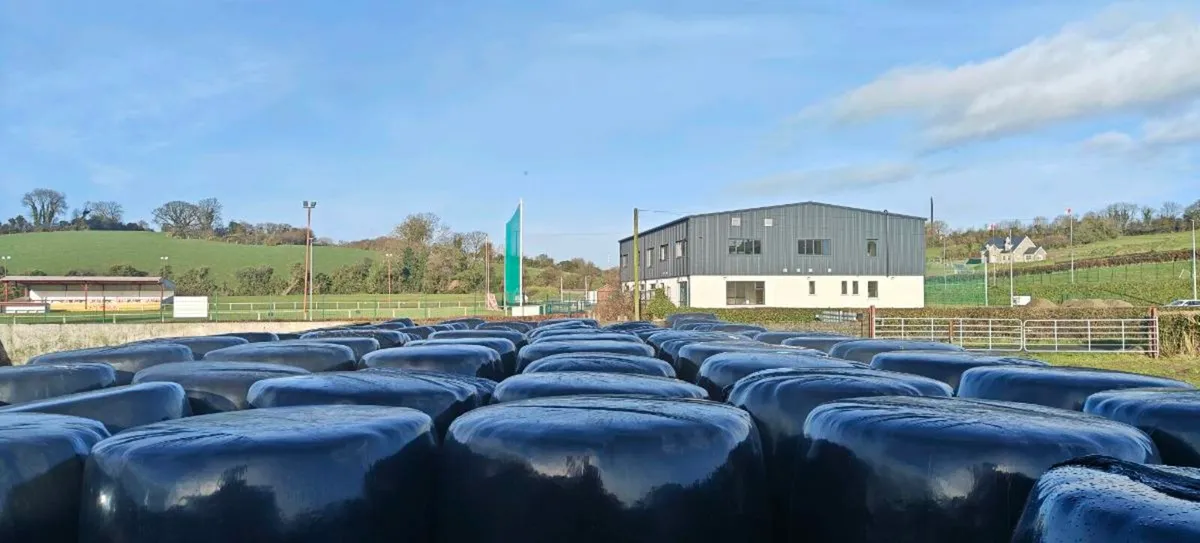 Round Bales of Haylage - Image 2