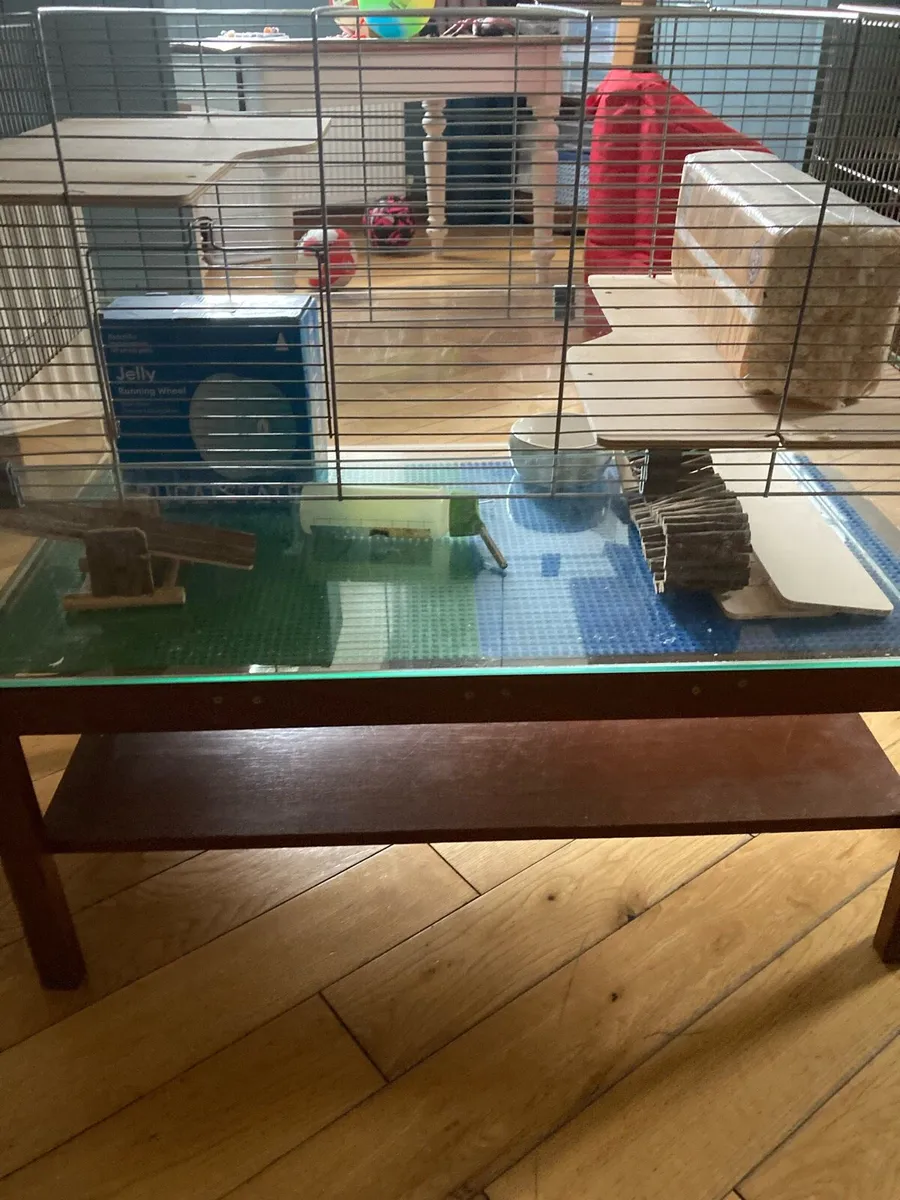 Hamster cage - Image 4