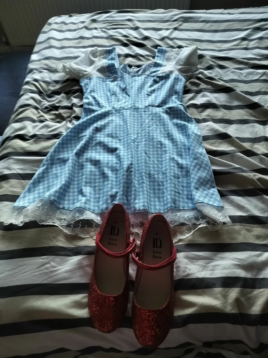 Dorothy the wizard of Oz costume - Image 1