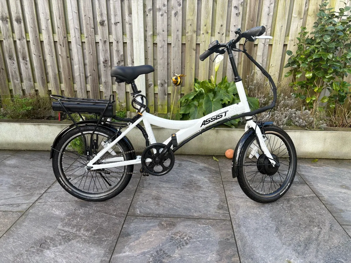 Electric bike - Image 1