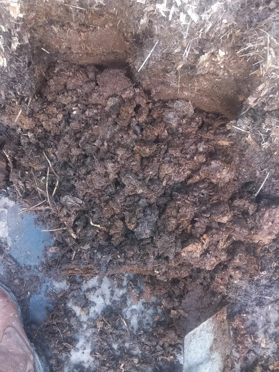 Horse manure - Image 2