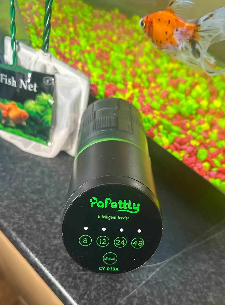 Fish Tank - Oranda Fish & accessories - Image 3