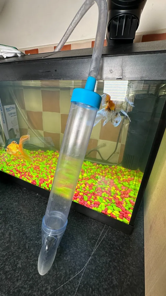 Fish Tank - Oranda Fish & accessories - Image 4