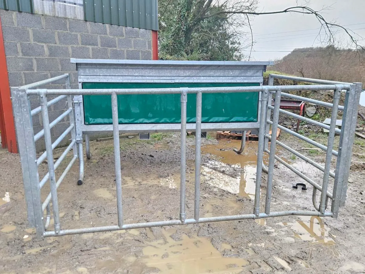 Whelan Creep Feeder - Image 4