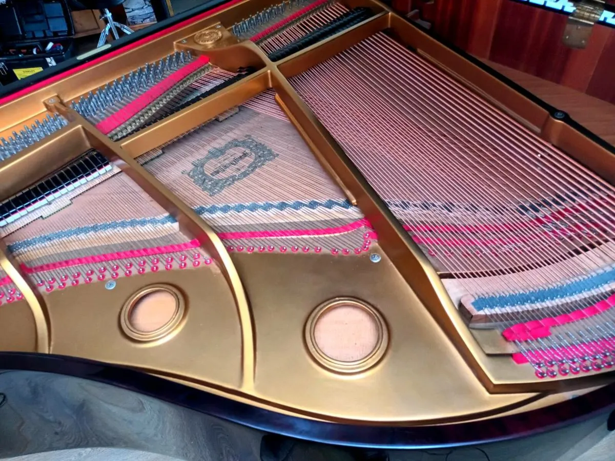 Stunning Young Chang Dark Brown Baby Grand - Image 4