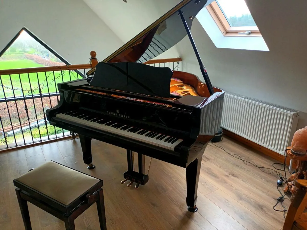 Stunning Young Chang Dark Brown Baby Grand - Image 1