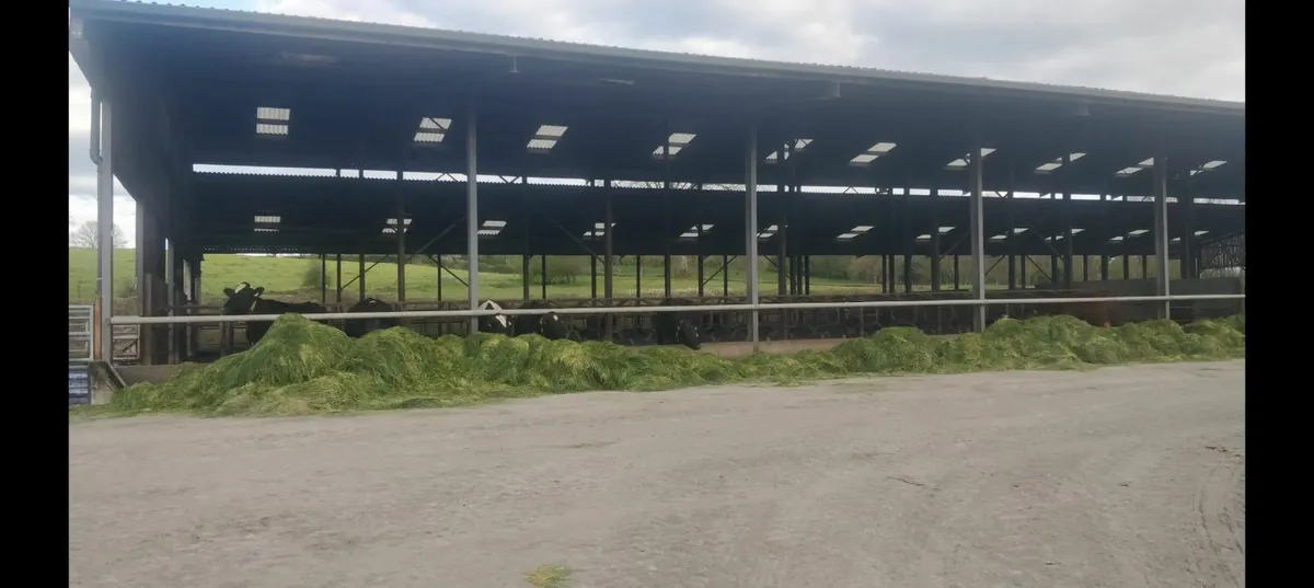 Liquid nitrogen ammonuim sulphate fertilizer - Image 2