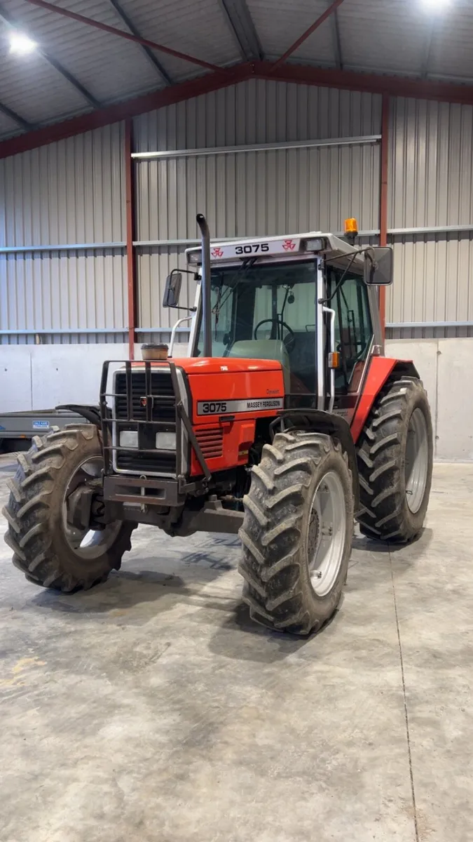 Massey Ferguson - Image 1