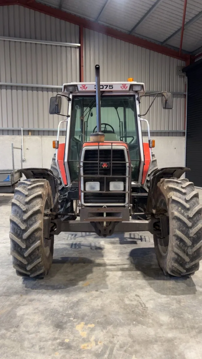 Massey Ferguson - Image 2