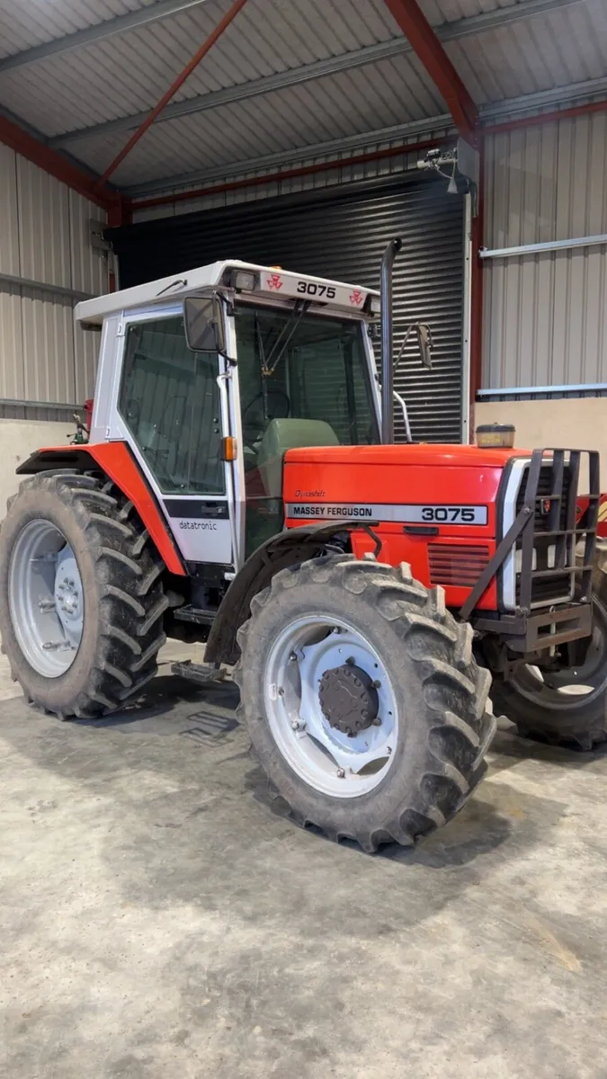 Massey Ferguson - Image 3