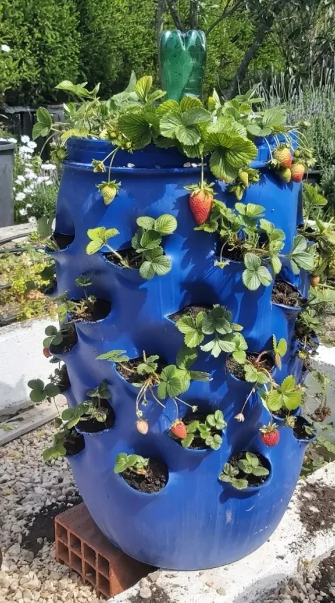 200 litre Barrels - Image 1