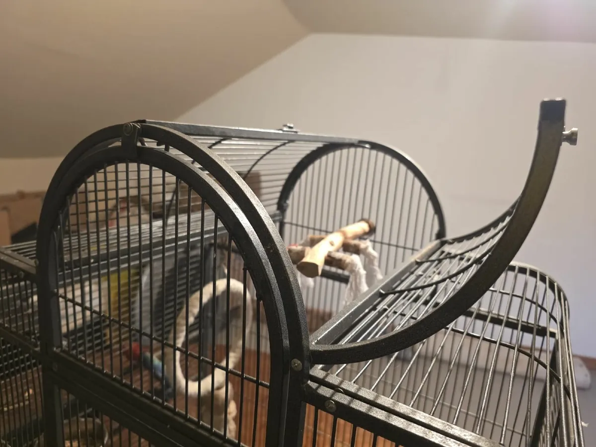 Parrot / Bird cage - Image 2