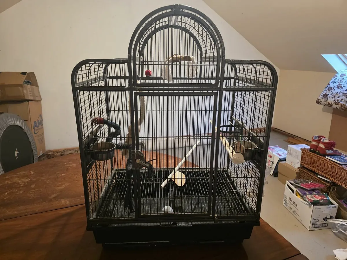 Parrot / Bird cage - Image 1