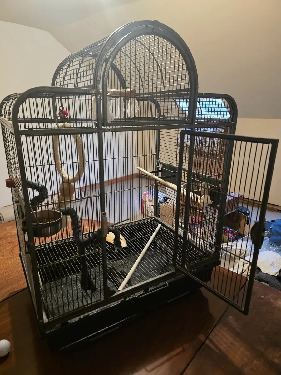 Parrot / Bird cage - Image 4