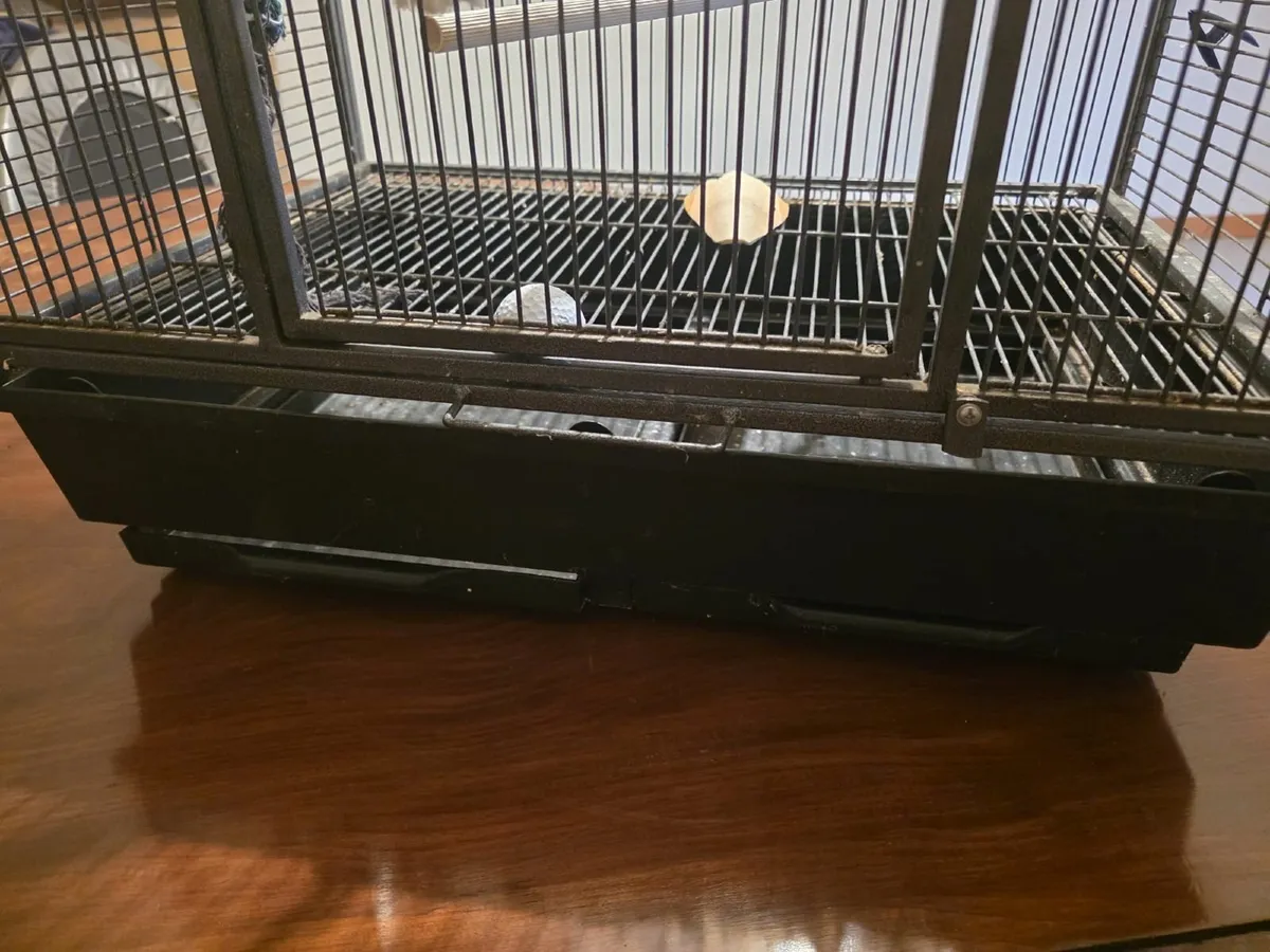 Parrot / Bird cage - Image 3