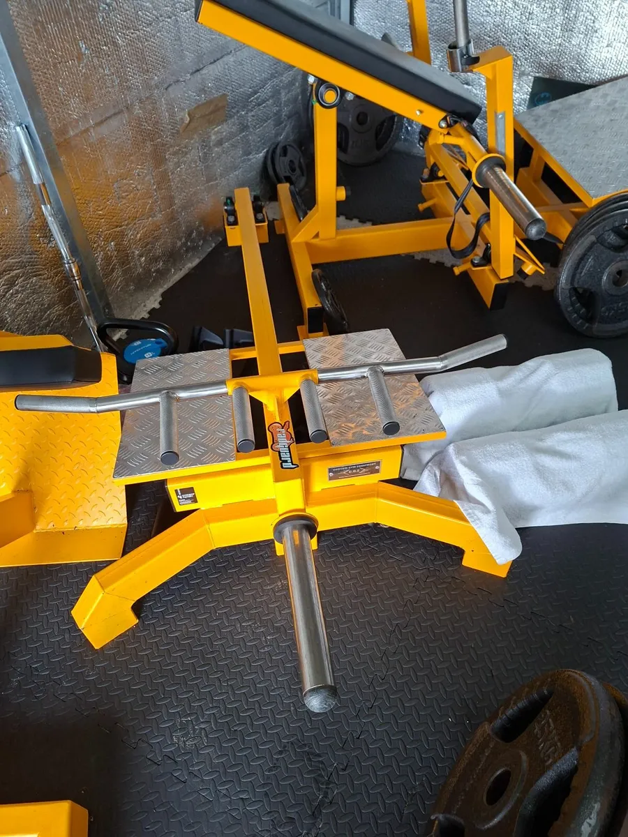 t bar row / sissy squat /situp bench - Image 1