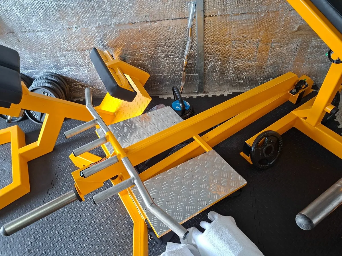 t bar row / sissy squat /situp bench - Image 2