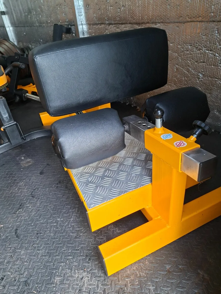 t bar row / sissy squat /situp bench - Image 3