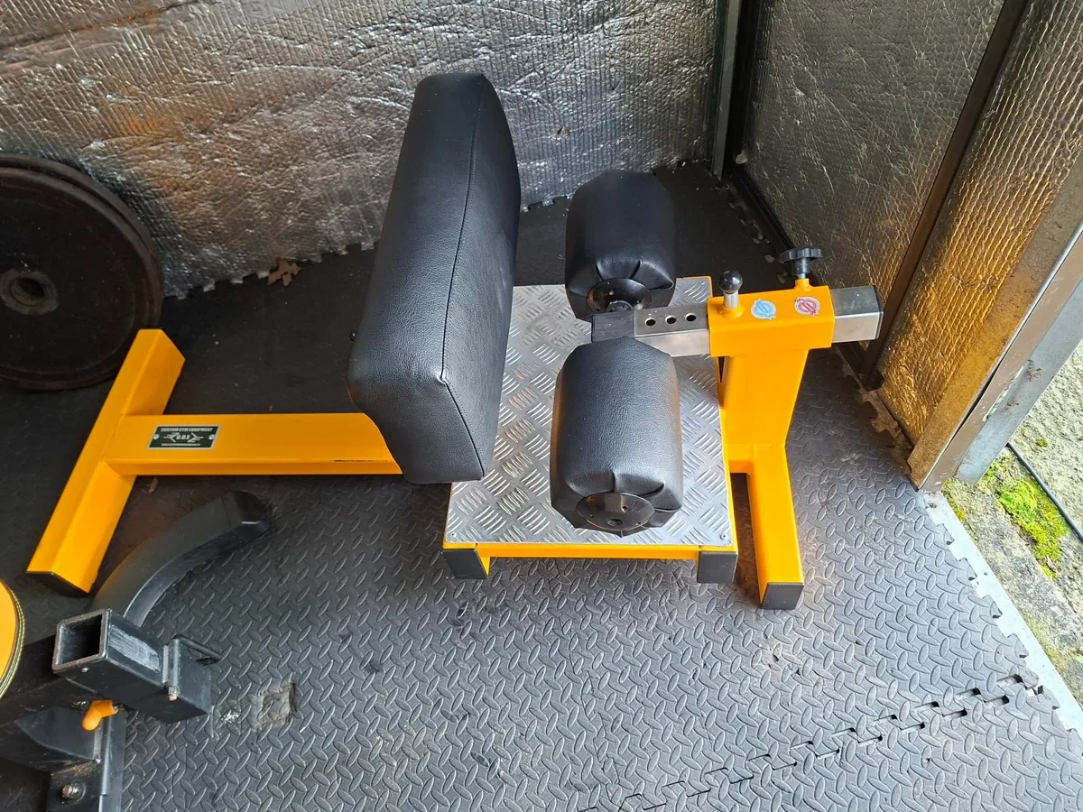 t bar row / sissy squat /situp bench - Image 4