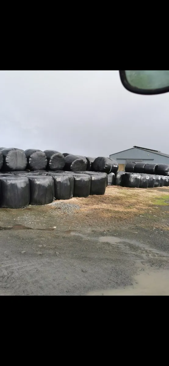 Silage bales - Image 1