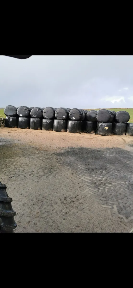 Silage bales - Image 2