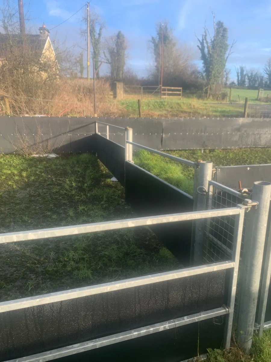 Sheep handling unit - Image 3