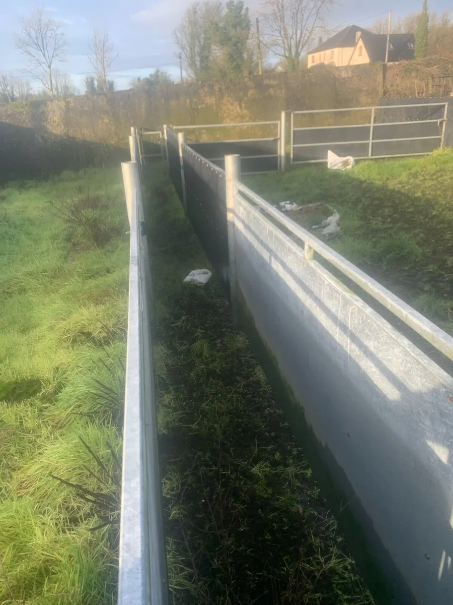 Sheep handling unit - Image 4