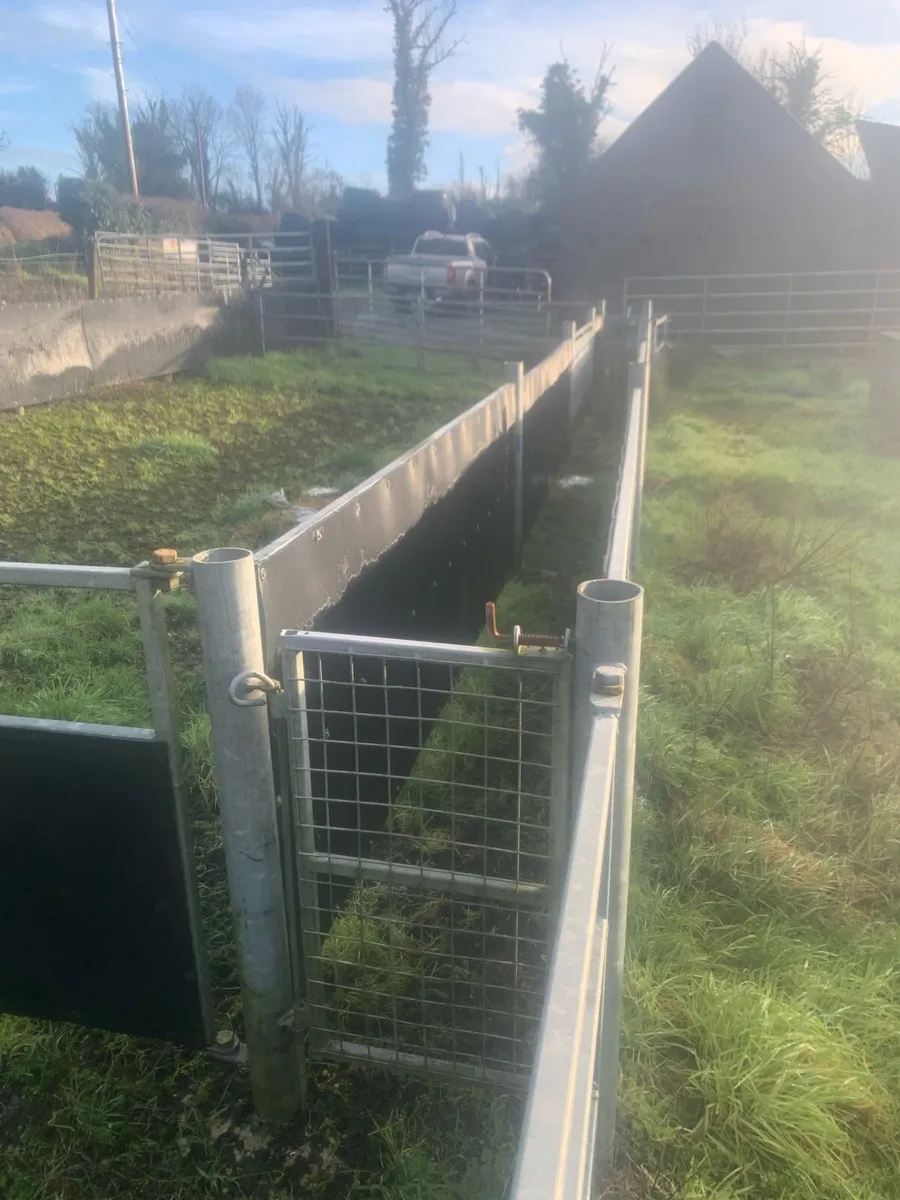 Sheep handling unit - Image 1