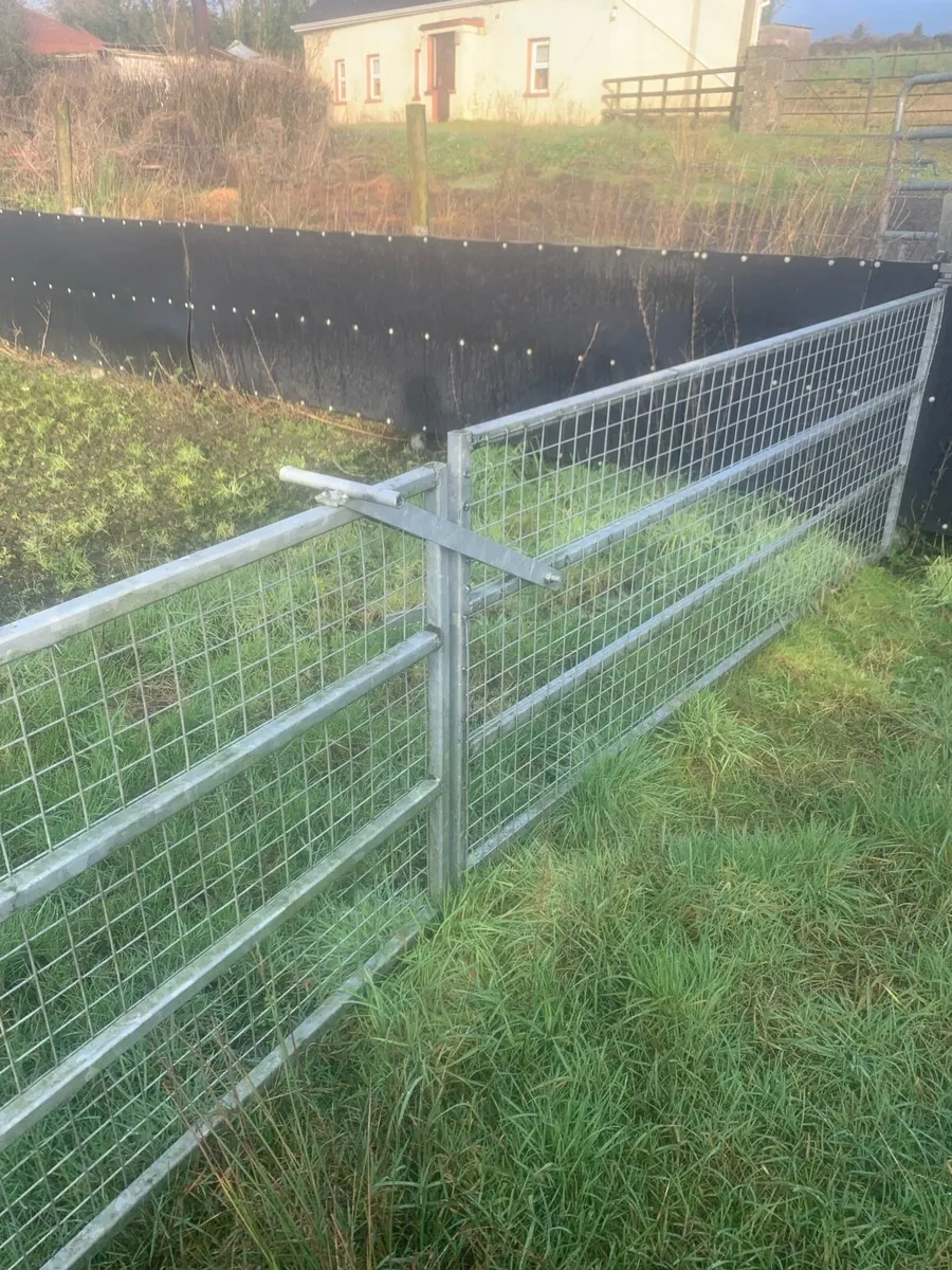 Sheep handling unit - Image 2