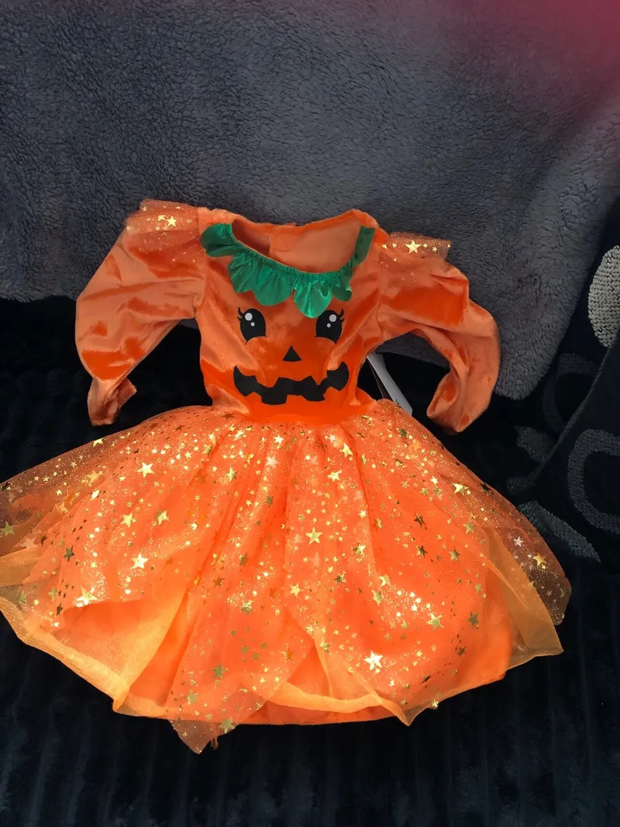 Girls BNWT Halloween costumes 9/12 mths €10 - Image 1