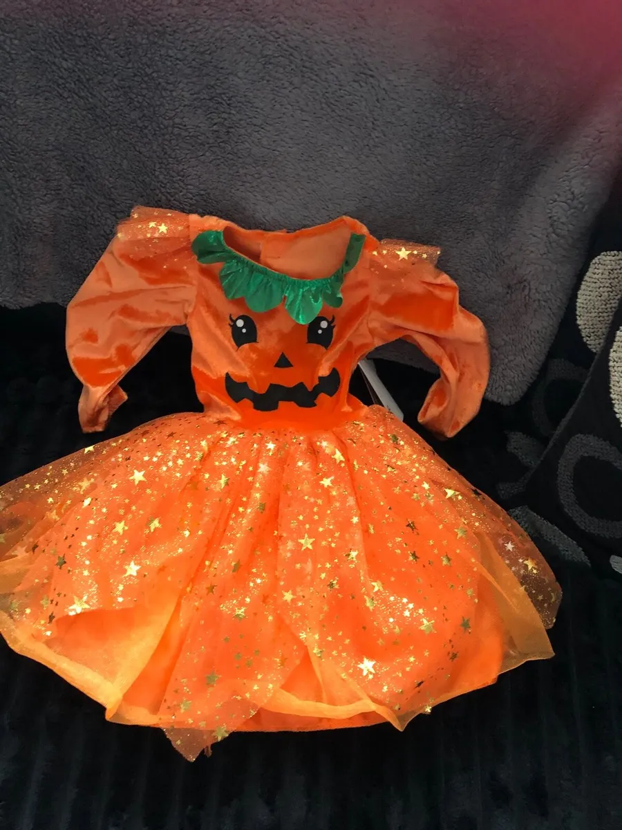 Girls BNWT Halloween costumes 9/12 mths €10 - Image 2